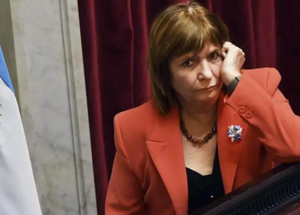 Patricia Bullrich en el Senado