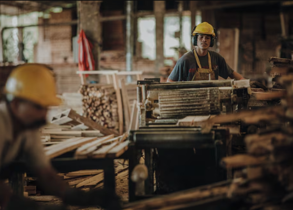 Trabajadores en aserradero