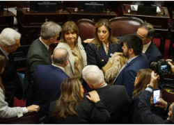 senado