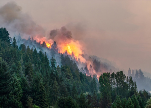 incendio
